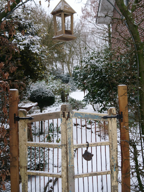 Verschneite Winterlandschaft